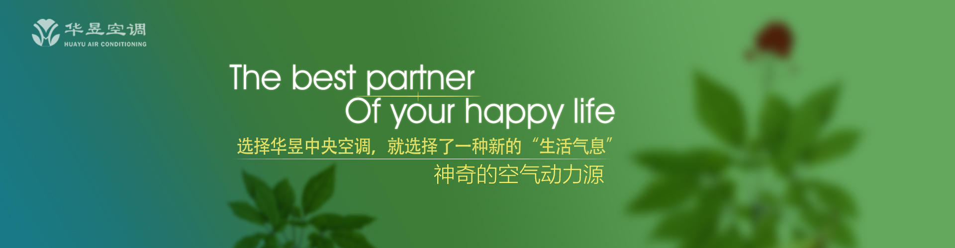 无为而成网
